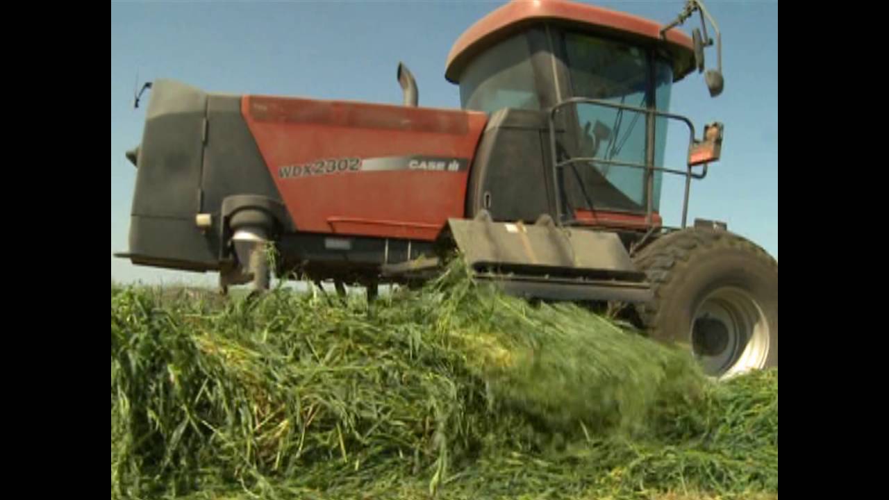 Double Windrow Attachment for Windrower