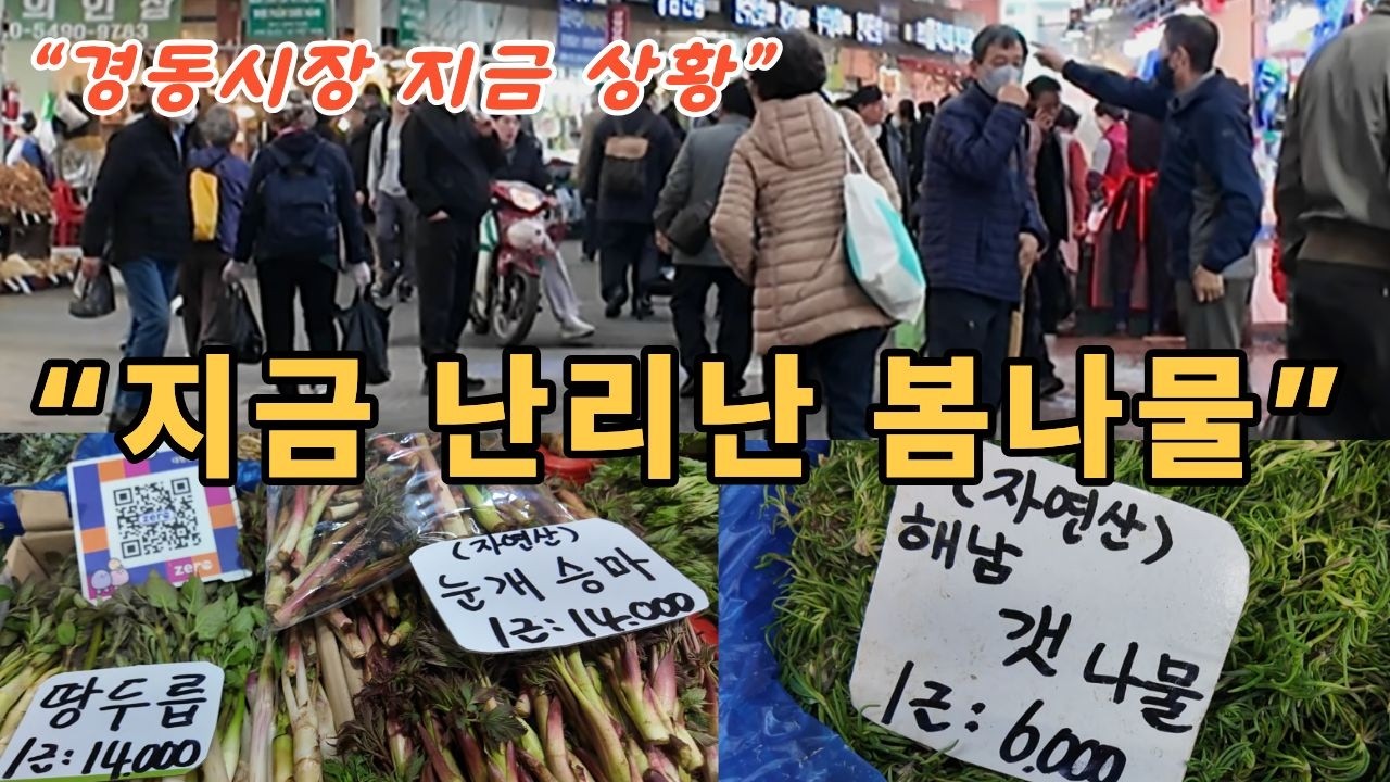 &ldquo;이건 지금 아니면 못 먹습니다&hellip; 경동시장 봄나물 폭발&rdquo; ~! 힐링여행
