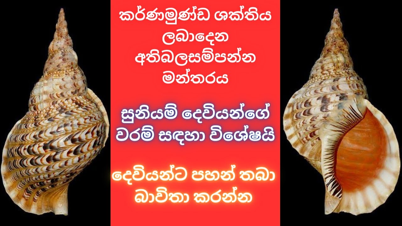 කර්ණමුණ්ඩ ශක්තිය ලබාදෙන අතිබලසම්පන්න මන්තරය සුනියම් දෙවියන්ගේ වරම් සඳහා විශේෂයිWHATSAPP 07777 50 917