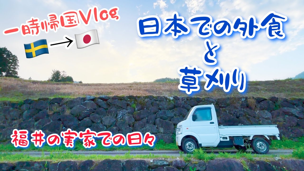 【一時帰国Vlog🇸🇪→🇯🇵】外食と草刈り【その6】