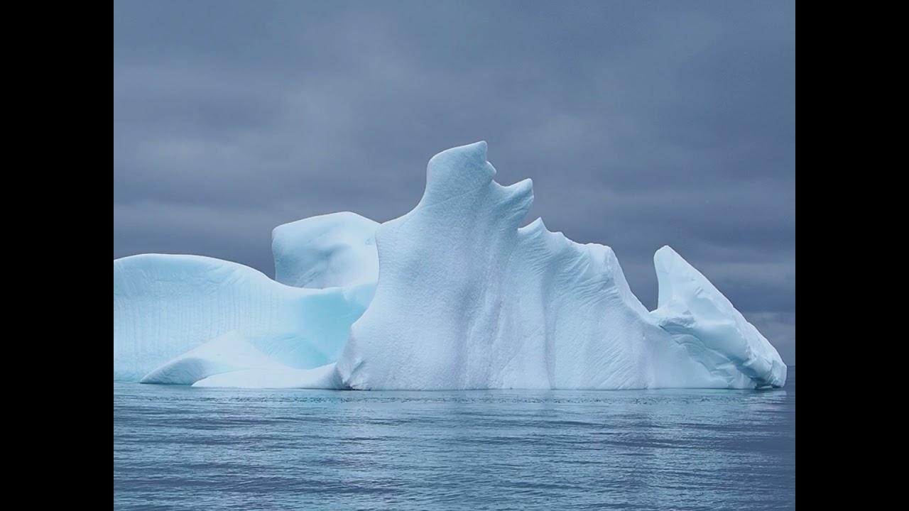 Zodiac Cruising in Antarctica