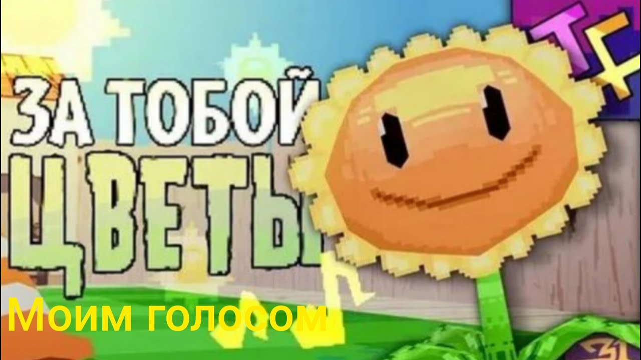 За тобой цветы моим голосом