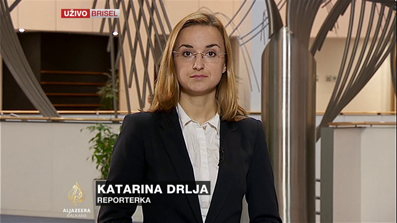 Drlja o sastanku evropskih poslanika sa predstavnicima iz Makedonije