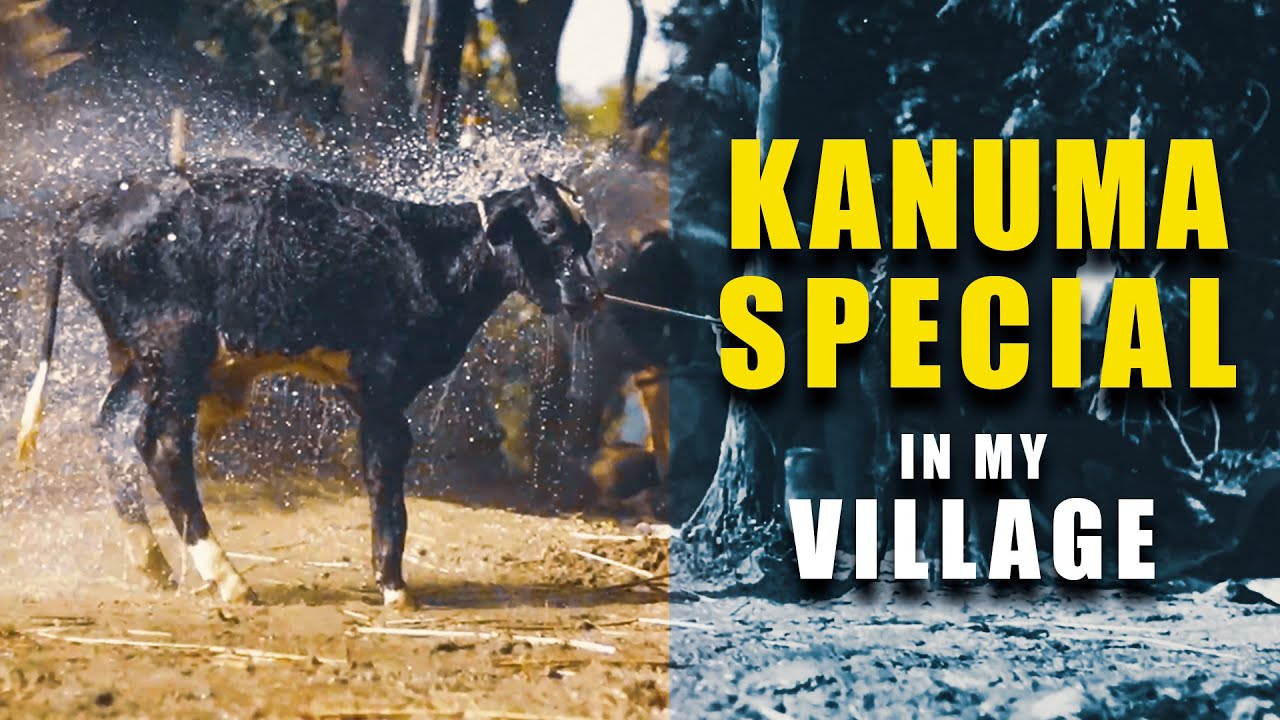 సంక్రాంతి కనుమ వేడుకలు | Sankranthi Kanuma SPECIAL IN MY VILLAGE | 2021 | REL FLICKERS | VT VLOGS