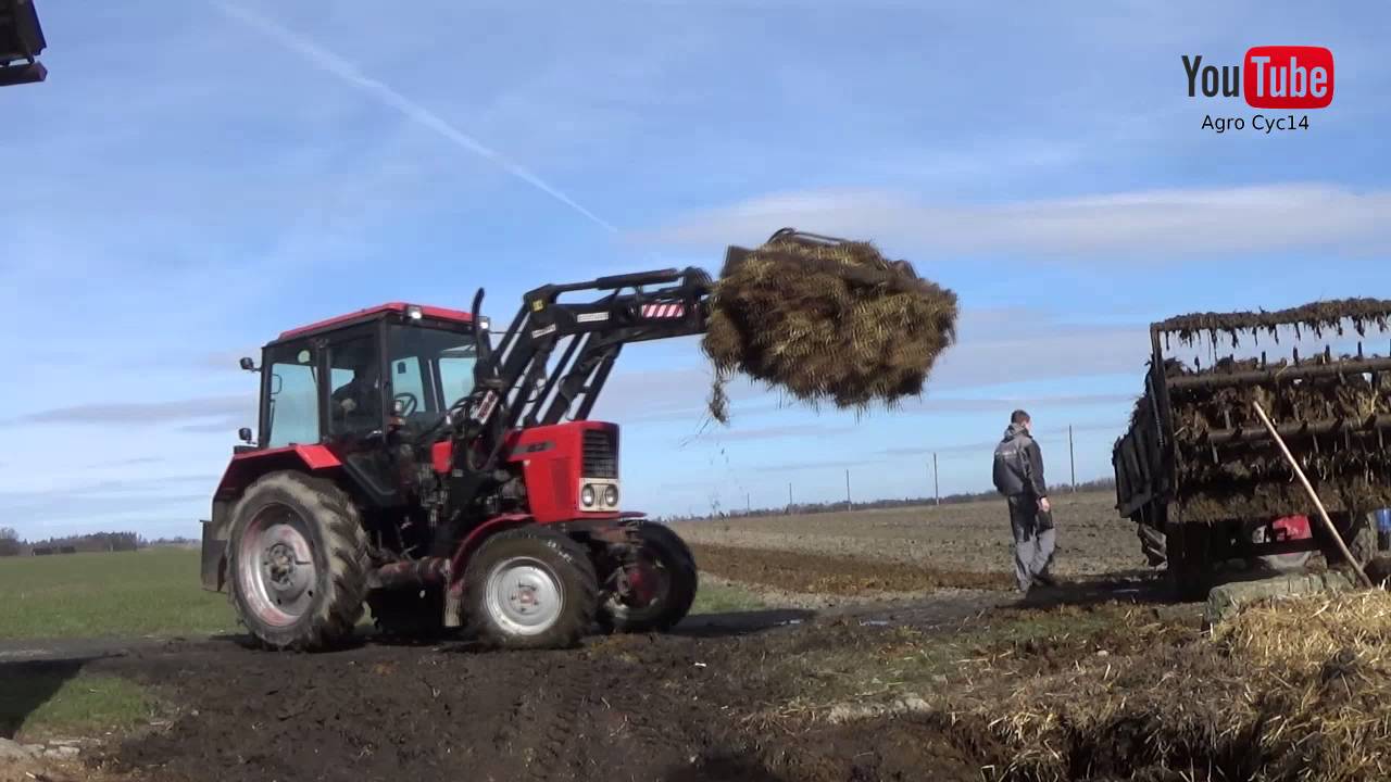 Wywóz obornika 2016 Zetor Major 3011 MTZ 82