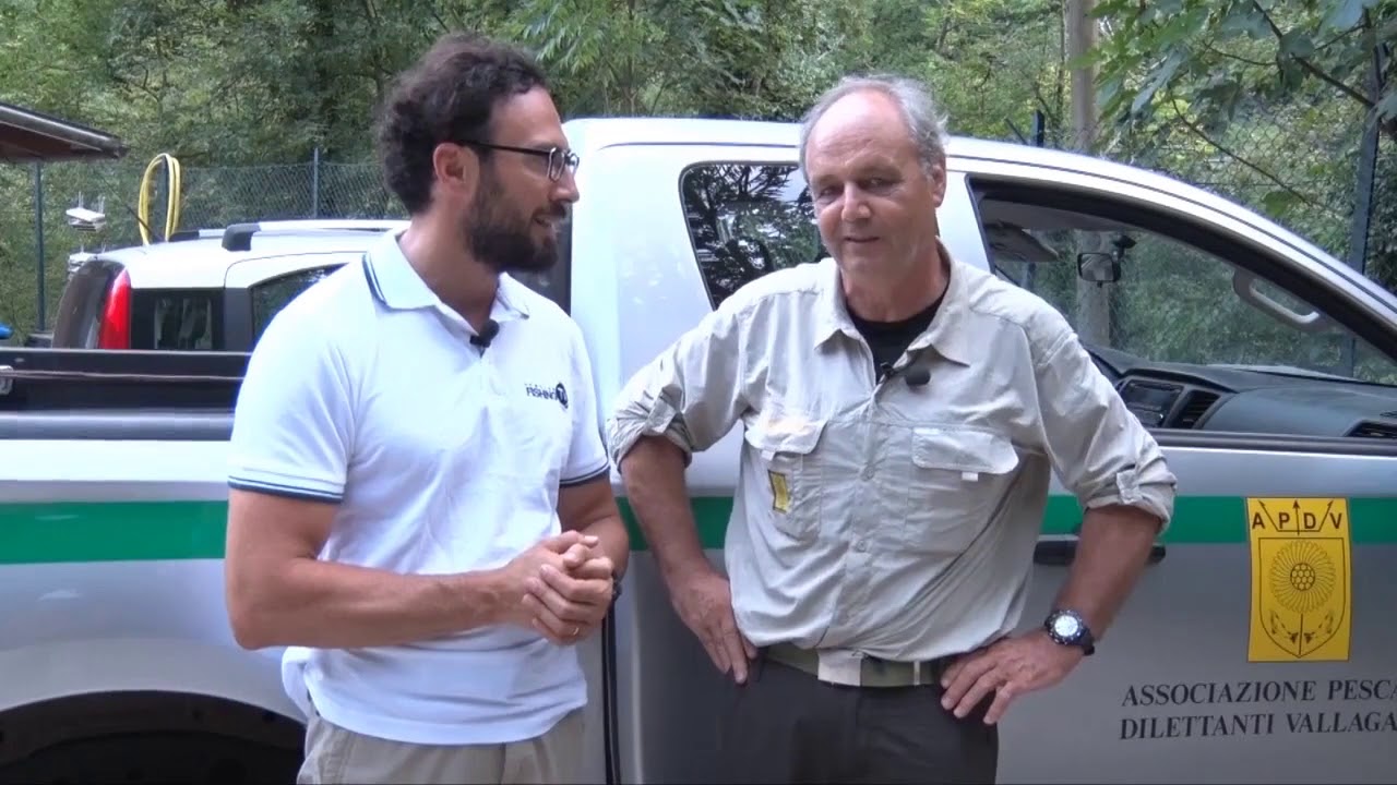 GESTIONE PESCI E PESCA SPORTIVA: Il modello Trentino / pescatori ricreativi alle trote | FIOPS