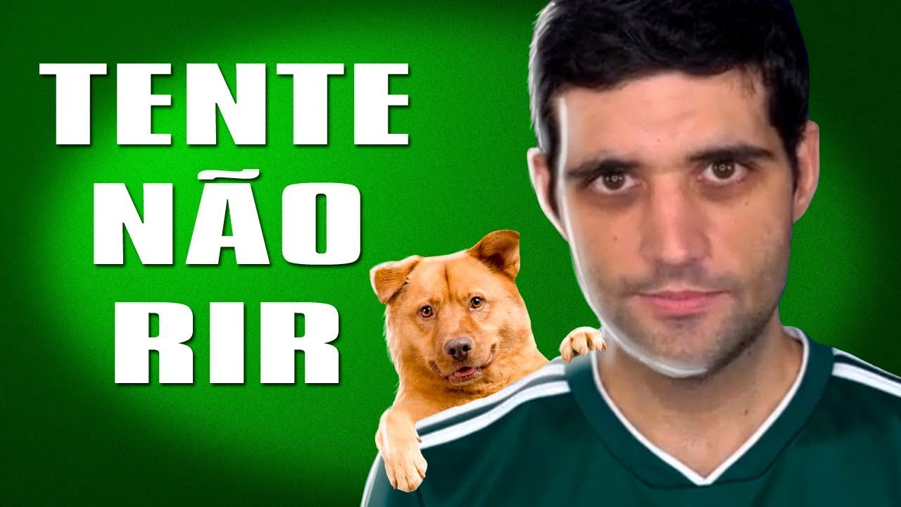 TENTE NÃO RIR com memes de animais da South America Memes