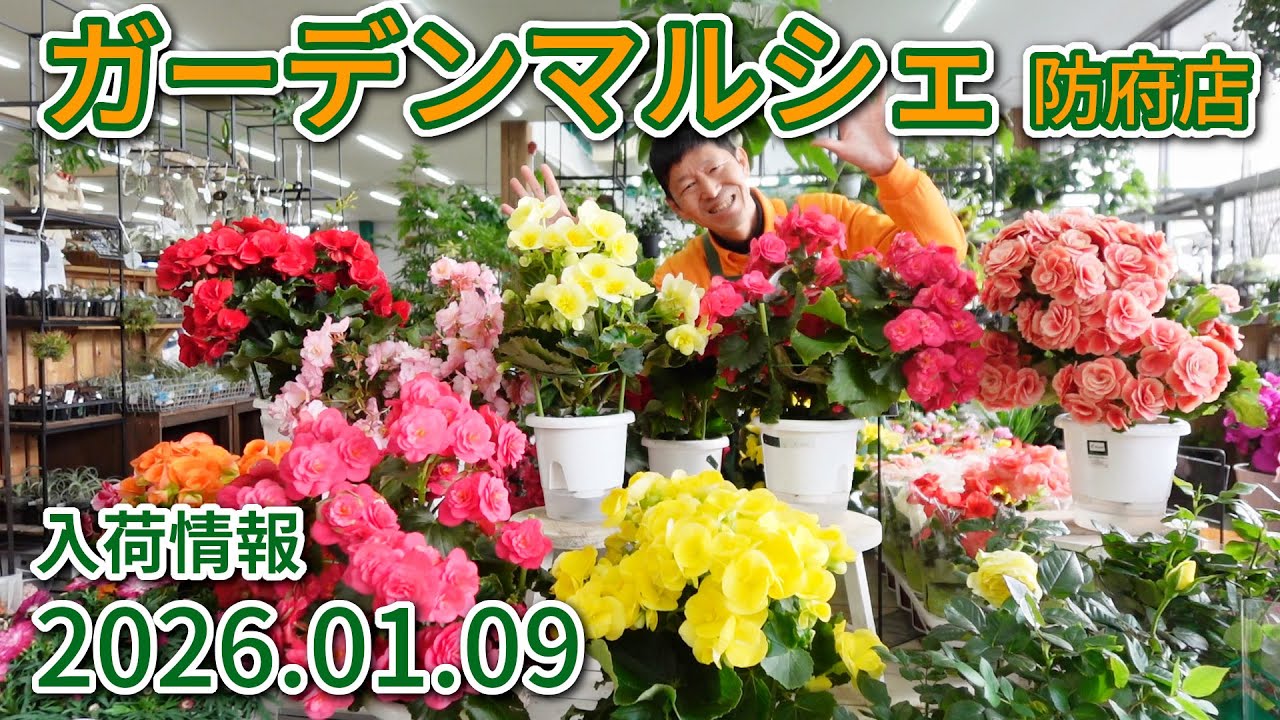2026年1月9日 ガーデンマルシェ防府店 今週の入荷情報
