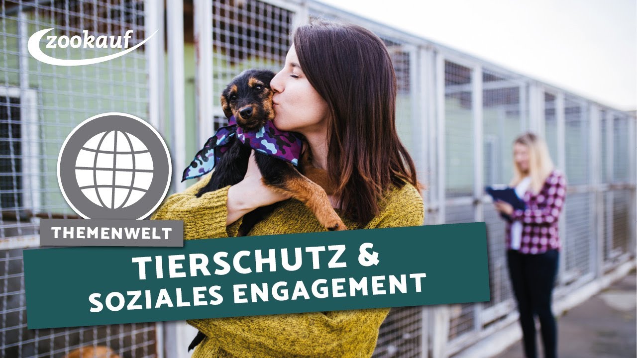 Tierschutz & Soziales Engagement | Heimtier TV