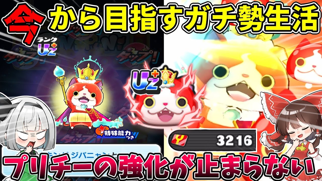 【ぷにぷに】『種族効果up＆新必殺技』キングジバニャンぶっ壊れすぎ...【#2】【ゆっくり実況】