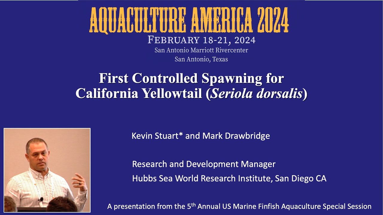 First Controlled Spawning for California Yellowtail