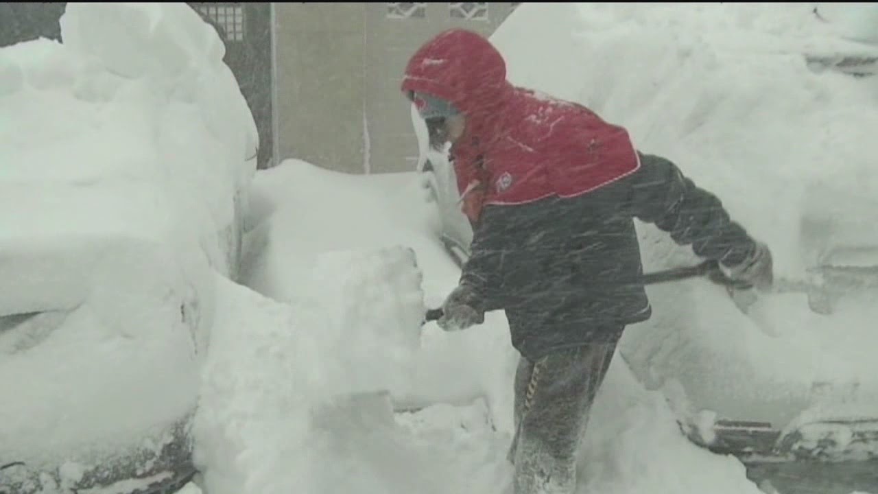 Buffalo buried under 3 feet of snow
