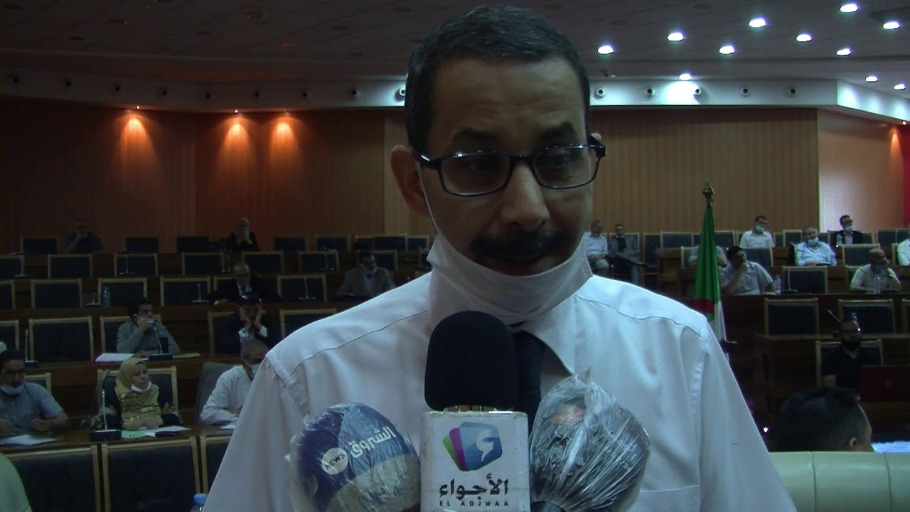 الكلمة الكاملة للبروفيسور عمار بوضياف في ندوة لسلطة الانتخابات
