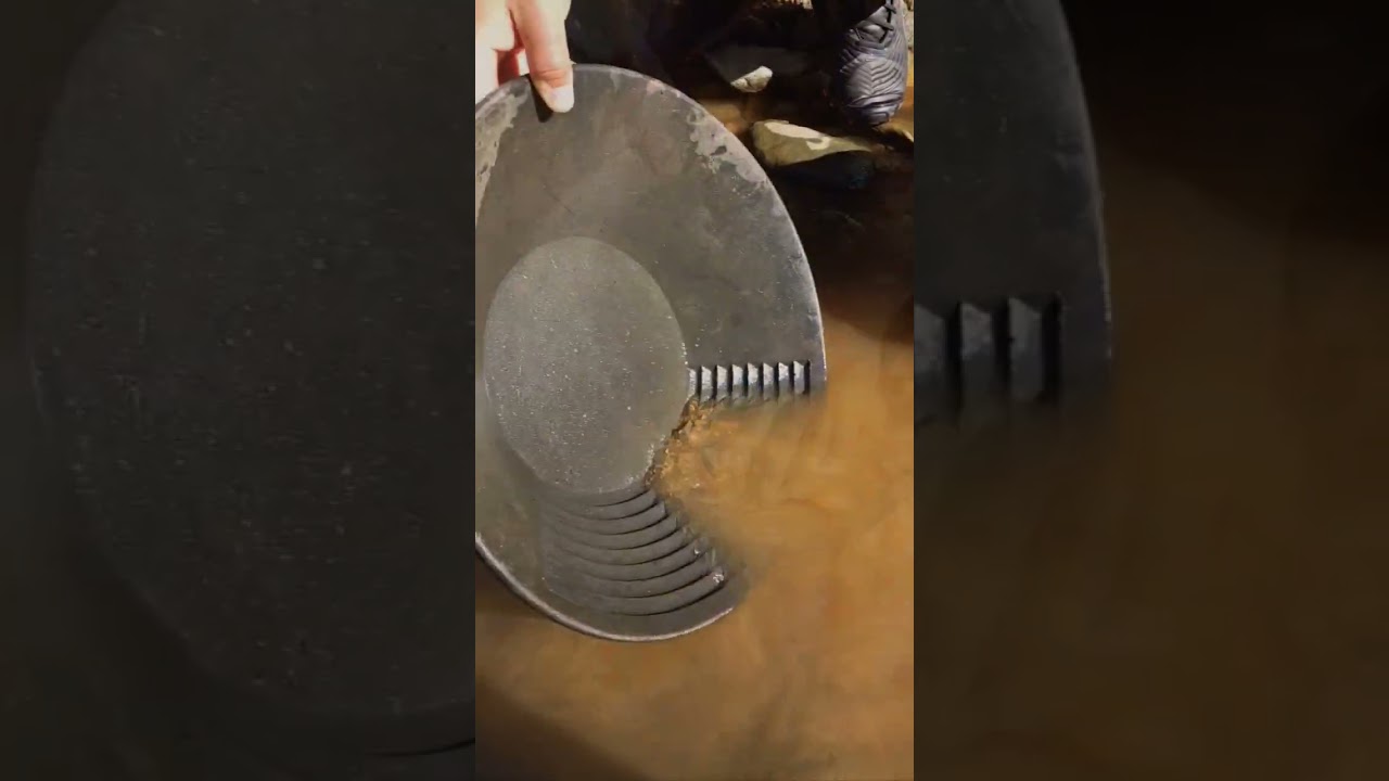 Gold Panning #goldpanning #goldnugget #findinggold #goldprospecting #gold #thefinders #goldrush #oro