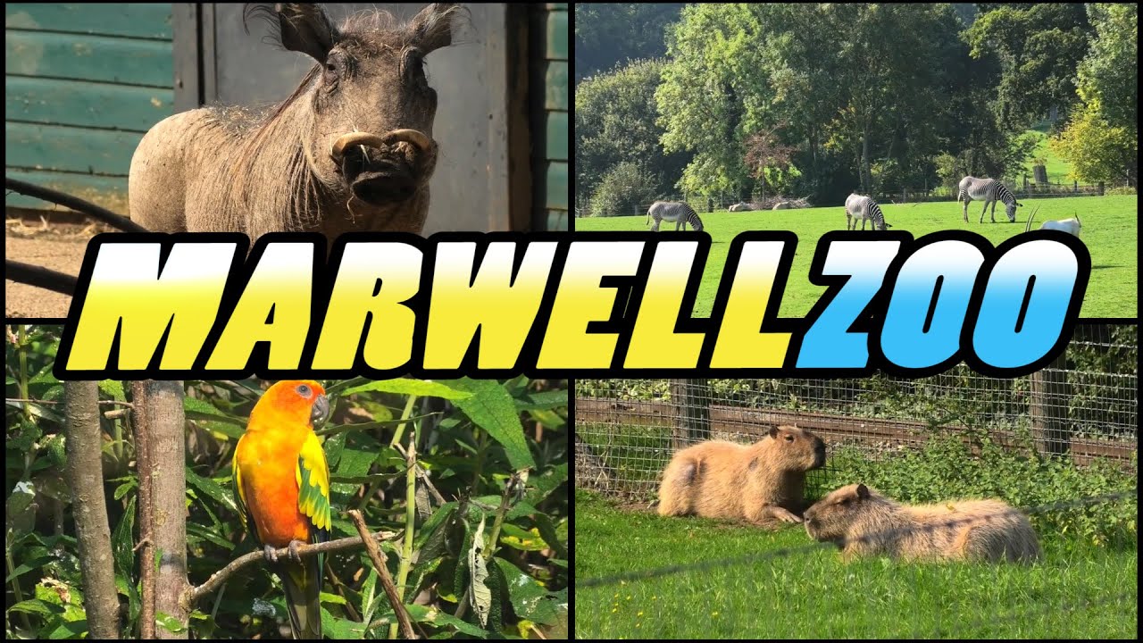 MARWELL ZOO - Winchester - Hampshire - England (4k)