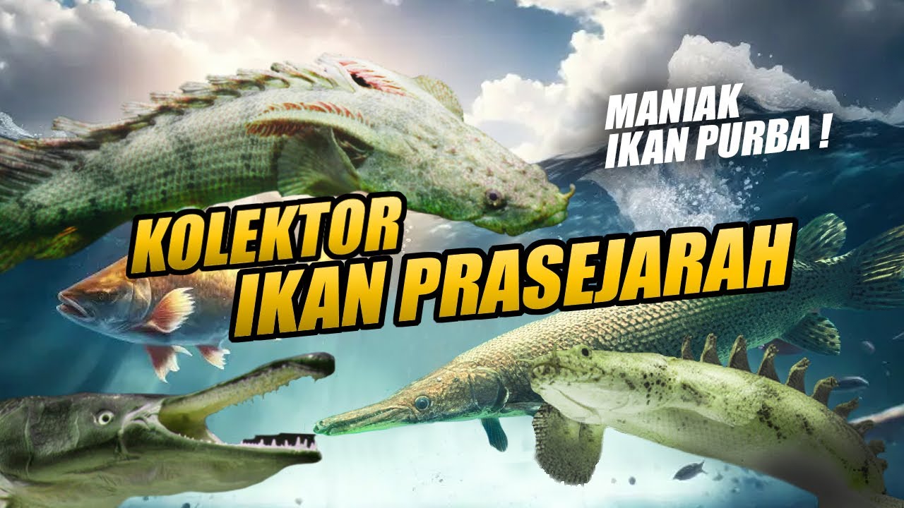 EPISODE KOLEKTOR !! MANIAK IKAN PREDATOR PURBA PRASEJARAH ! GILA SIH INI !!