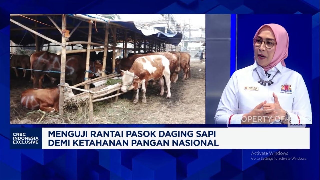 Stok Terbatas, Importir Khawatir Harga Daging Sapi Melonjak