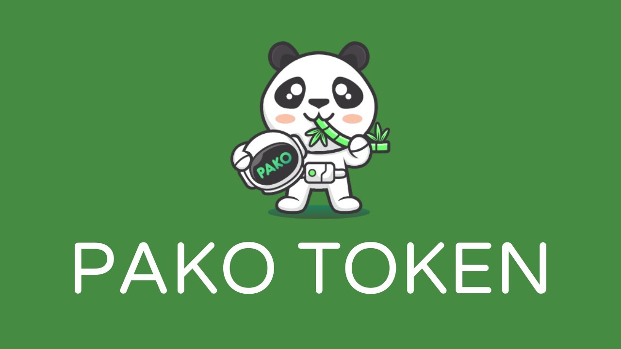 PAKO TOKEN Review || Next 100X GEM On BSC ???