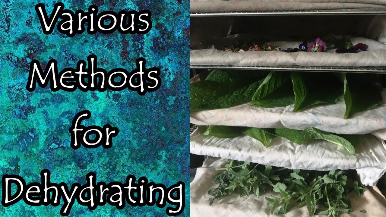 Various Methods for Dehydrating Foods