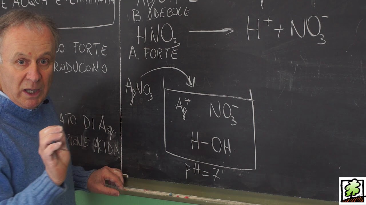 Lezione 8- Idrolisi salina acida (teoria)