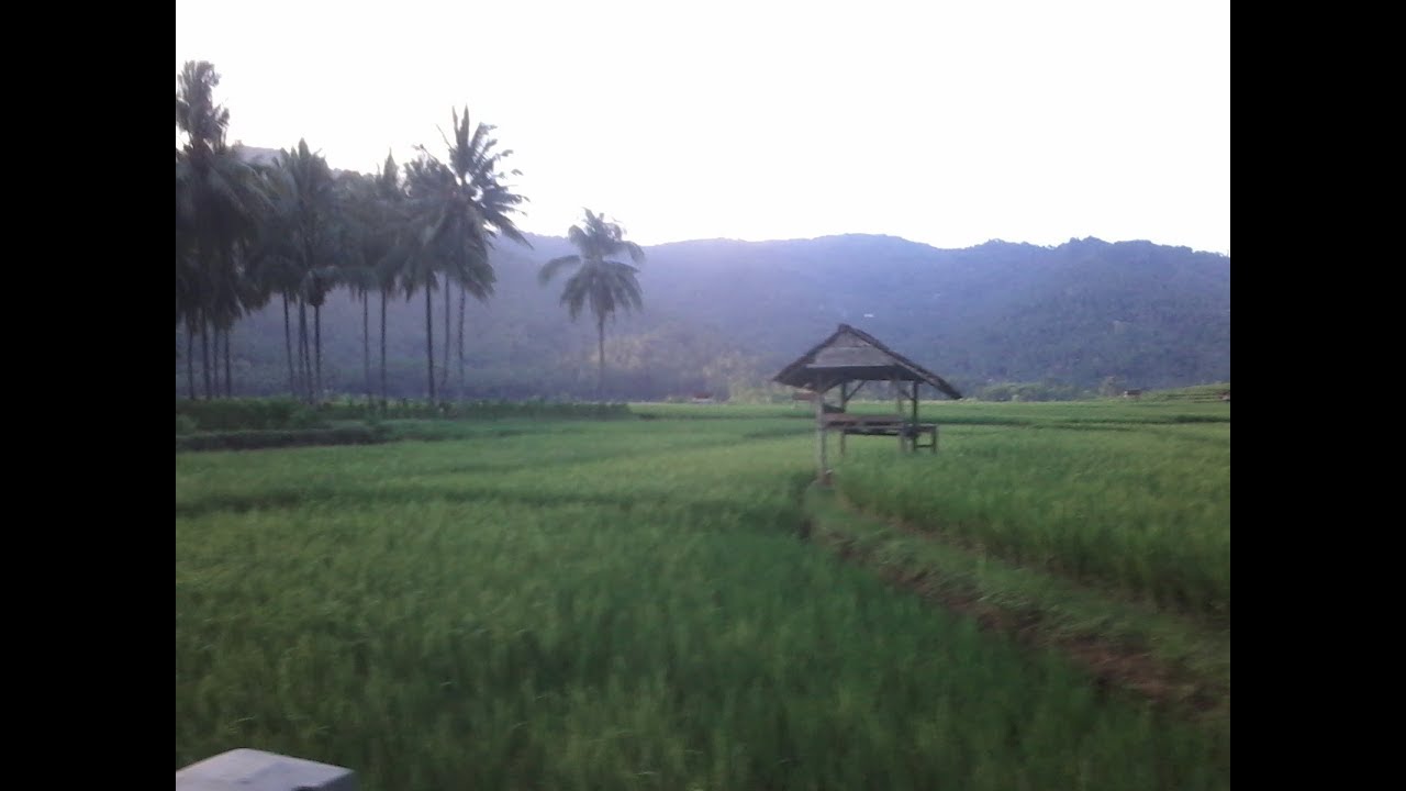 Lestari alamku - gombloh
