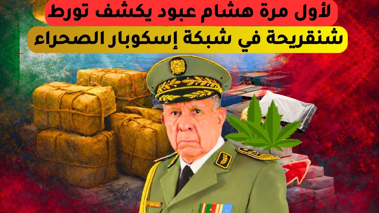 لأول مرة هشام عبود يكشف تورط الجنرال شنقريحة في شبكة إسكوبار الصحراء