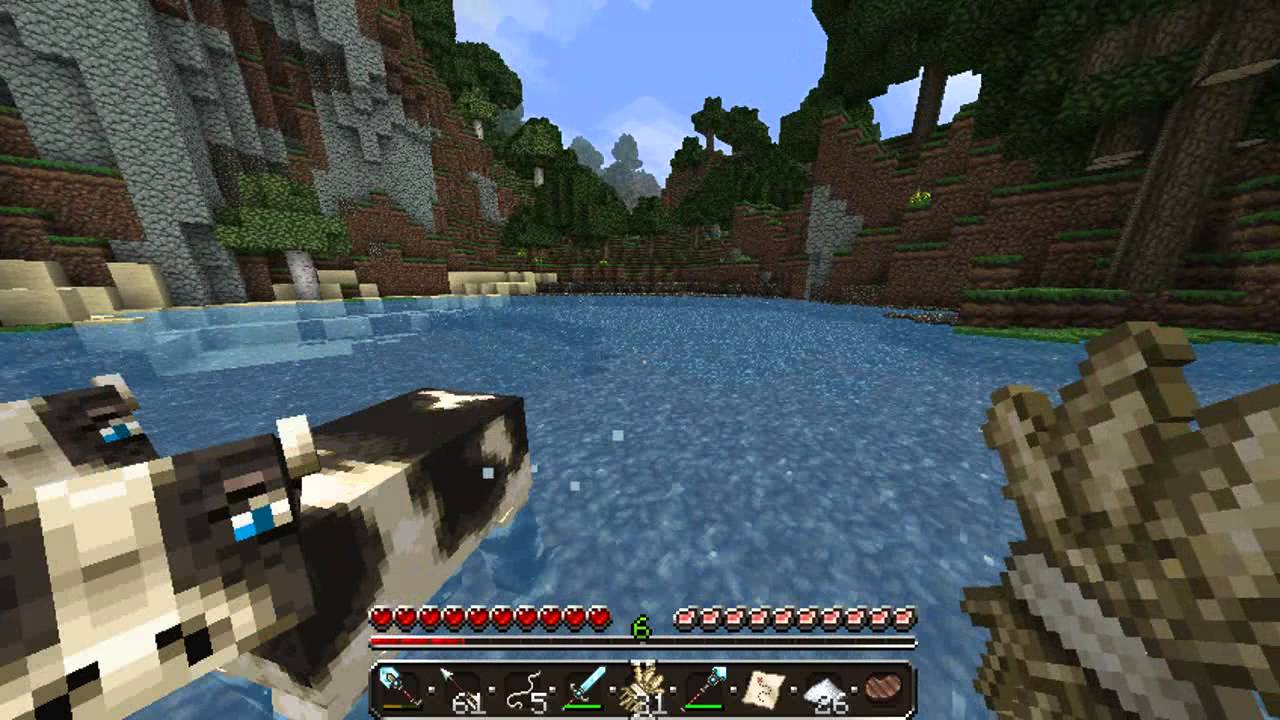Overcrowded Minecraft Farm!?