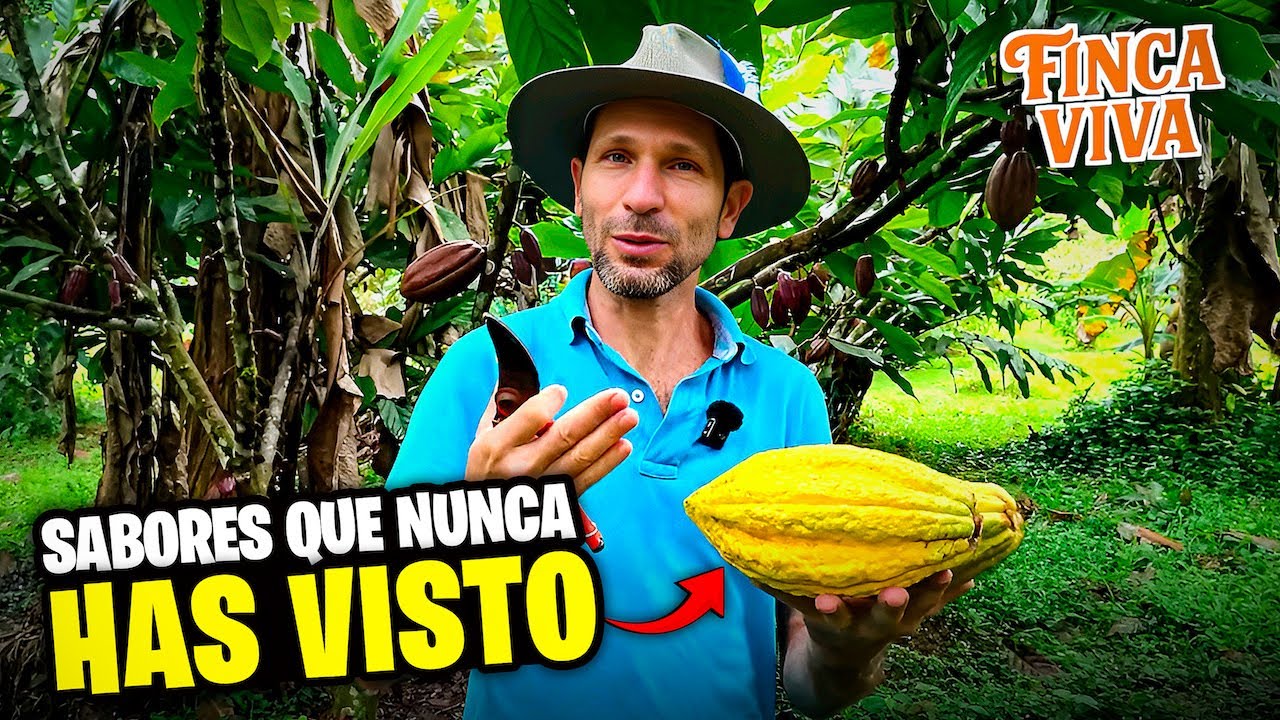 Probé las FRUTAS Más Exóticas de Costa Rica | FINCA VIVA