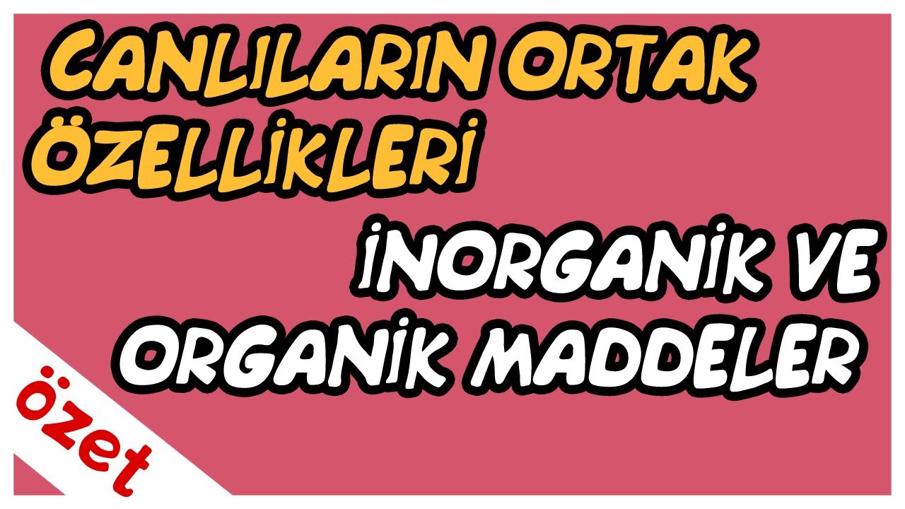 Canlıların Ortak Özellikleri / İnorganik ve Organik Maddeler Özet / TYT Biyoloji