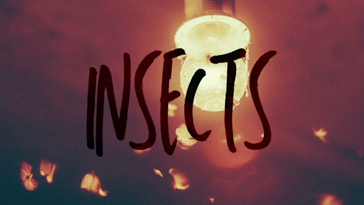 Blame Yourself - Insects (Official Lyric Video)