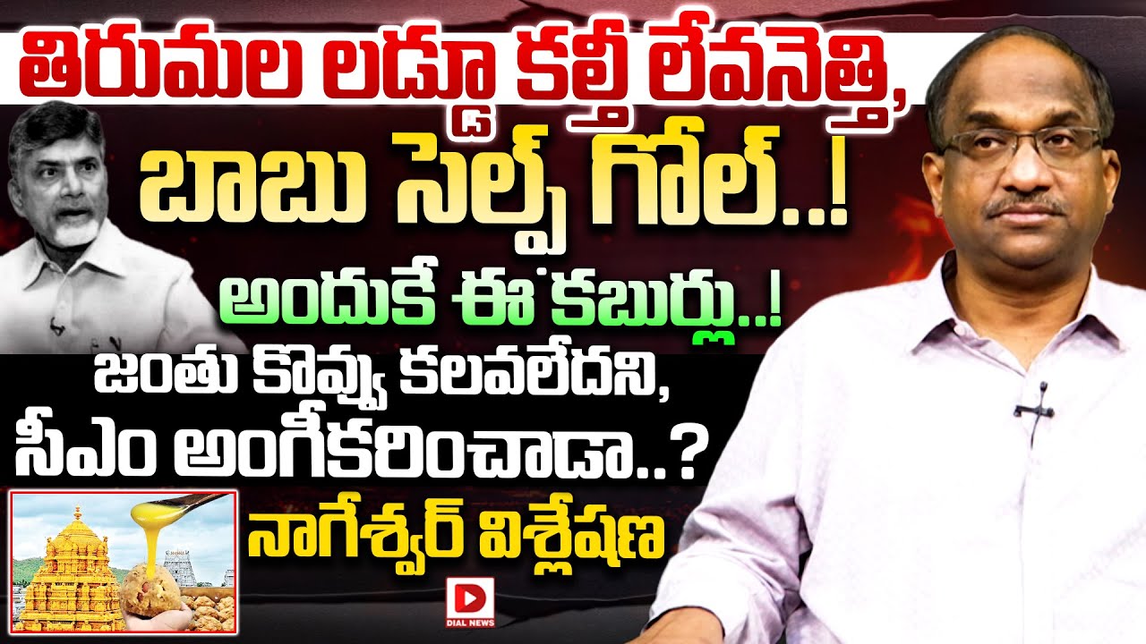 తిరుమల లడ్డూ కల్తీ లేవనెత్తి, బాబు సెల్ఫ్ గోల్..? | Prof Nageshwar Analysis on Tirumala Laddu | Dial