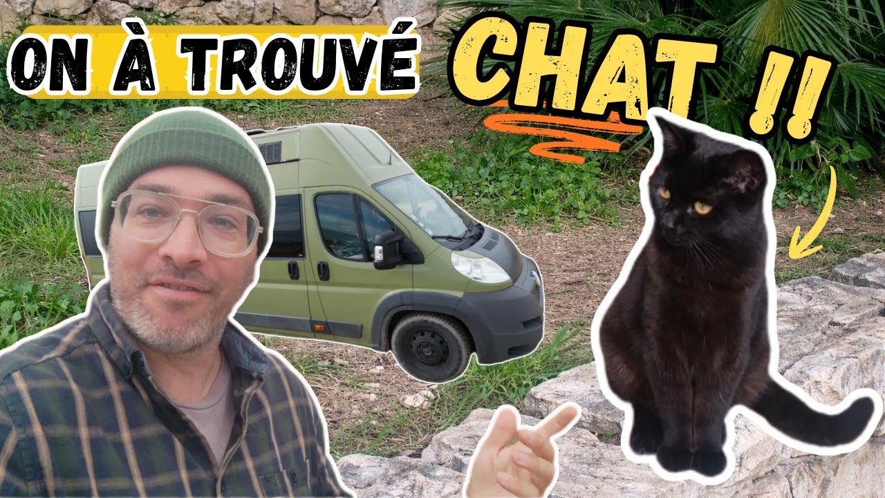 La VANLIFE est ENCORE possible… 🚨 