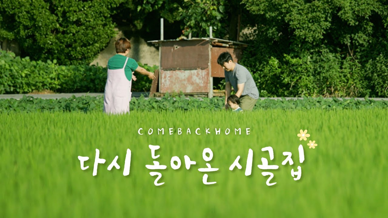 오느른 mbc 퇴사하고 시골집이 있는 김제 평야로 돌아왔어요 (feat. 16개월 아기, 육아휴직) | 이웃집최사장 | vlog | 밥값하는중