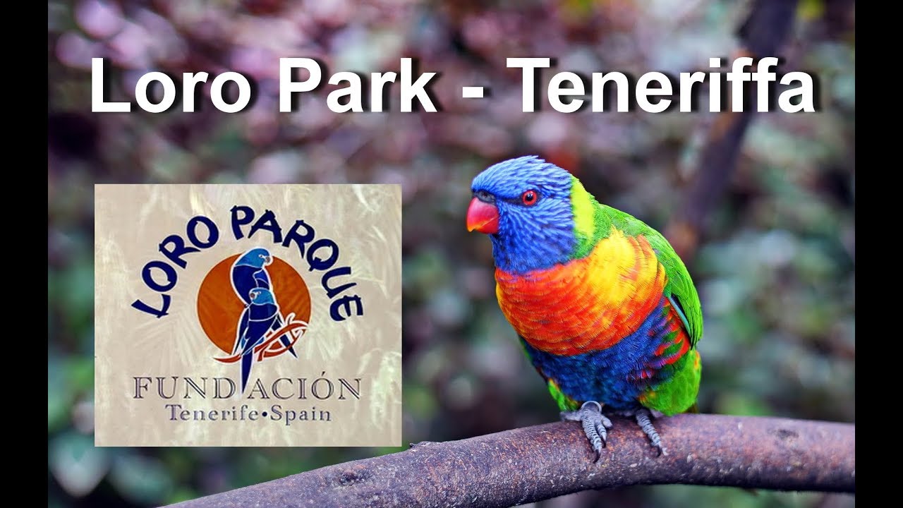 Loro Park - Teneriffa