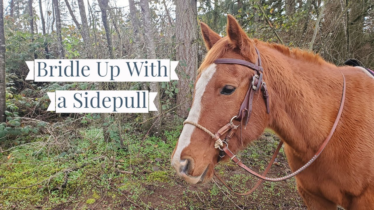 How to Put On a Sidepull & Adjust It