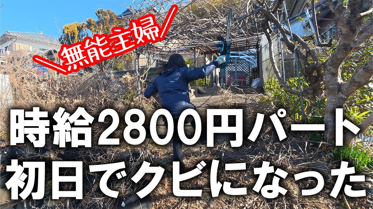 高額パートに採用されるも初日でクビになる無能主婦、今日も汚庭へ行く。ほったらかしのキウイの枝を片付けてスッキリしました｜汚部屋｜汚庭｜庭仕事｜剪定｜キウイの強剪定2026④