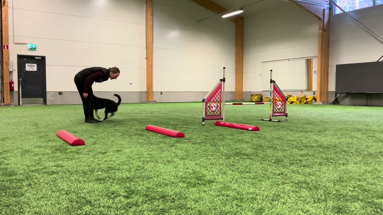 Muikun hyppytekniikkatreenejä tammi-maaliskuu 2026