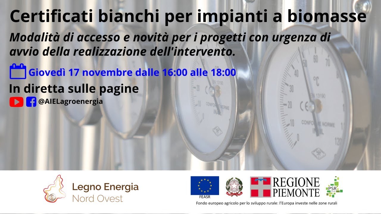 Certificati bianchi per impianti e teleriscaldamento a biomasse