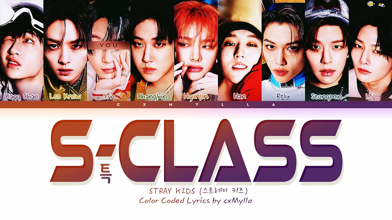 Stray Kids 스트레이 키즈 : S-Class (특) | 9 members (You as member)