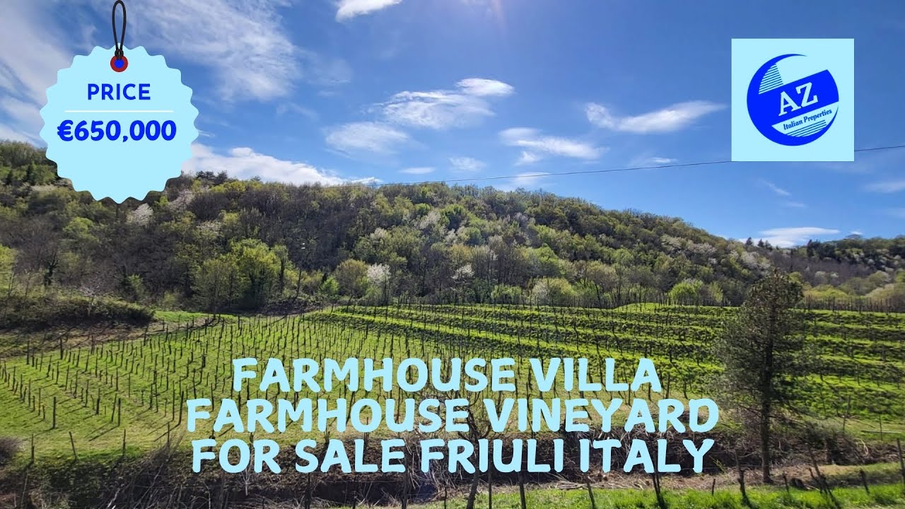 🍷 Vineyard & Farmhouse for Sale in Friuli, Italy | Price Drop €650,000