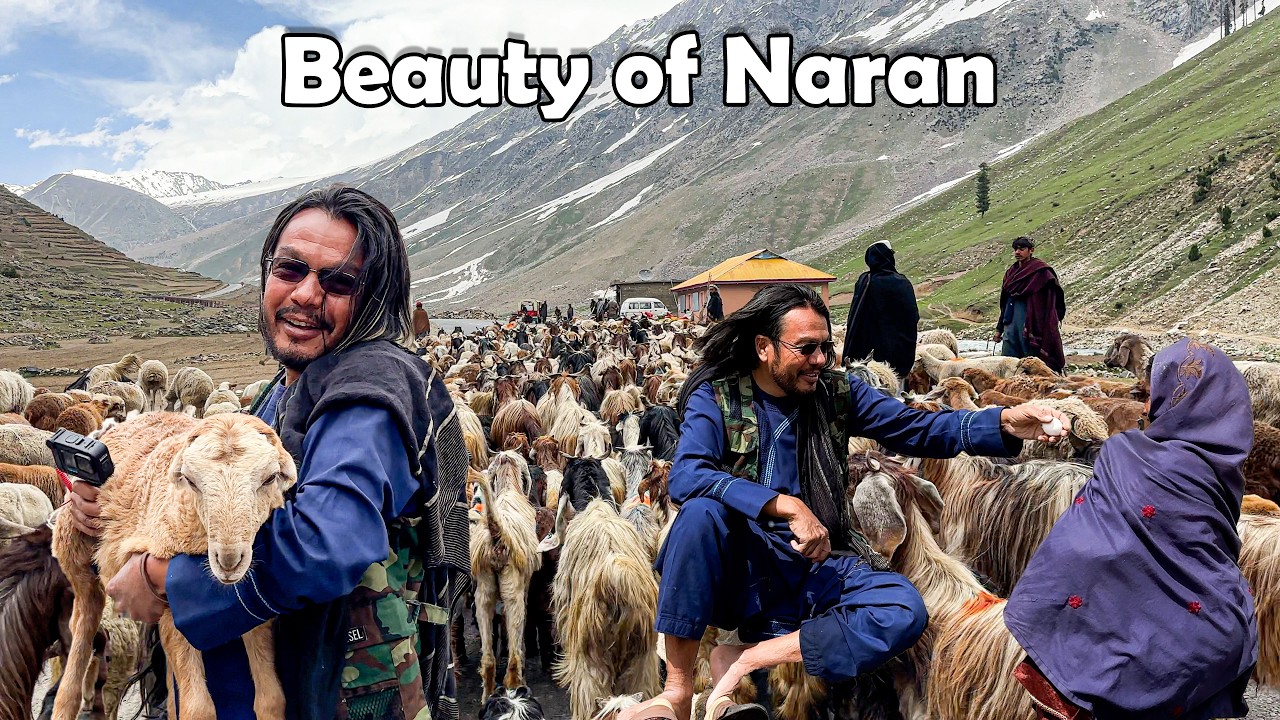 Most Beautiful Places in Naran Kaghan Valley 4K