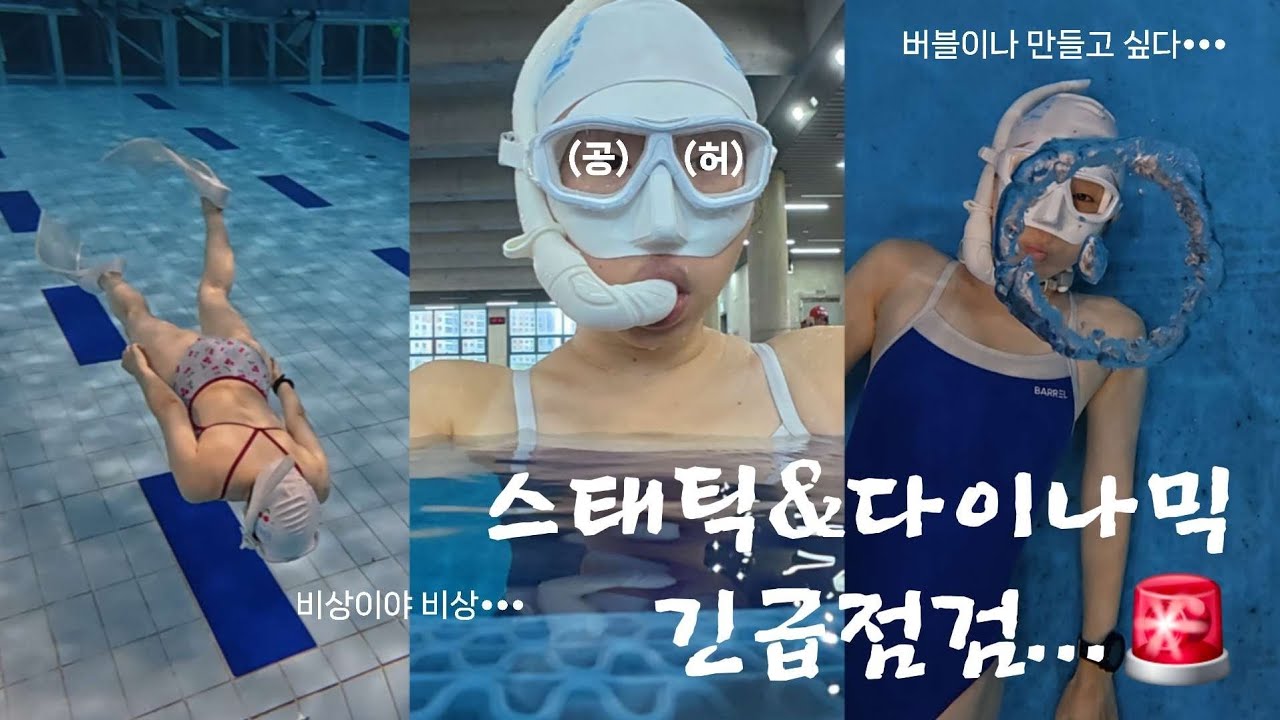 다이빙로그 | 스태틱과 다이나믹 긴급점검 (셀프 분석을 곁들인 고찰) | 멘탈스포츠 프리다이빙
