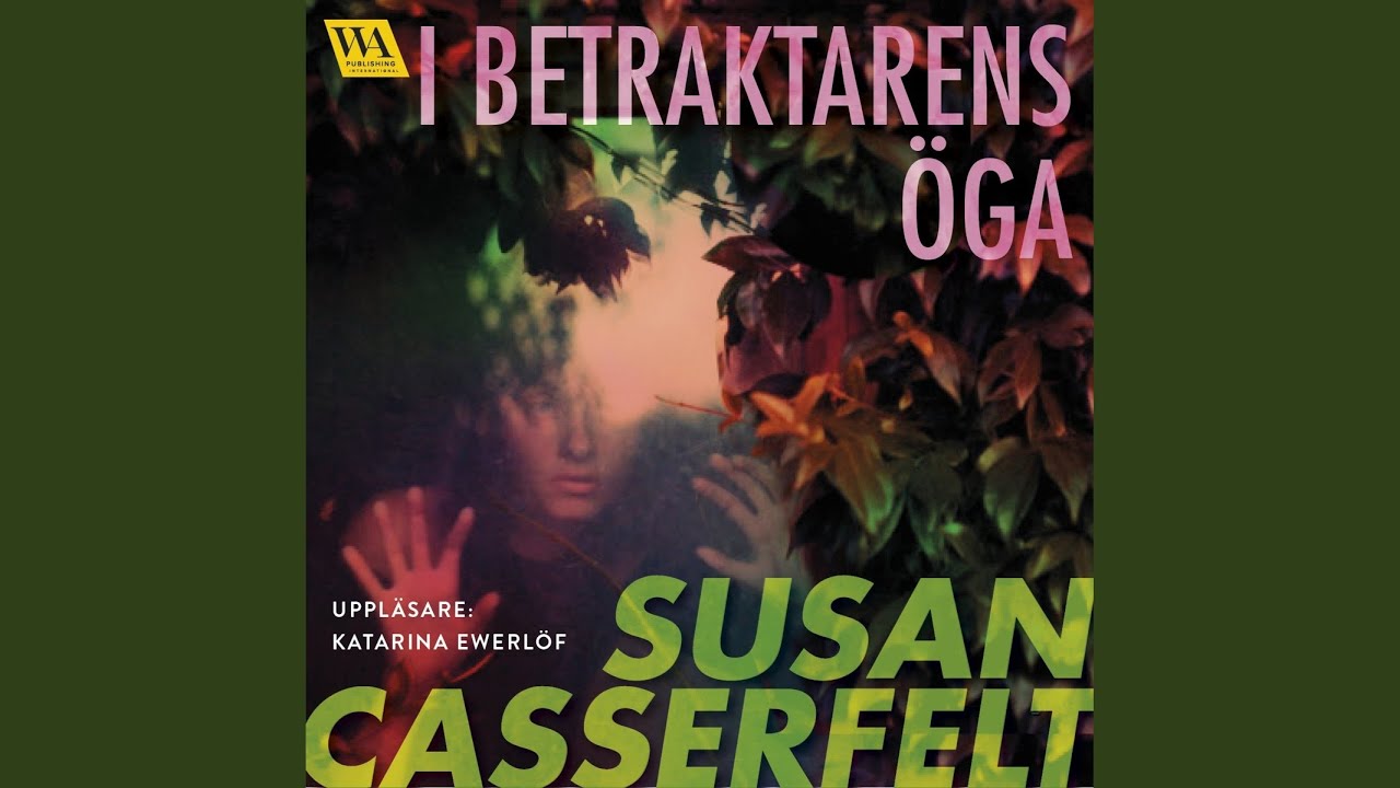 Chapter 30.5 - I betraktarens &ouml;ga
