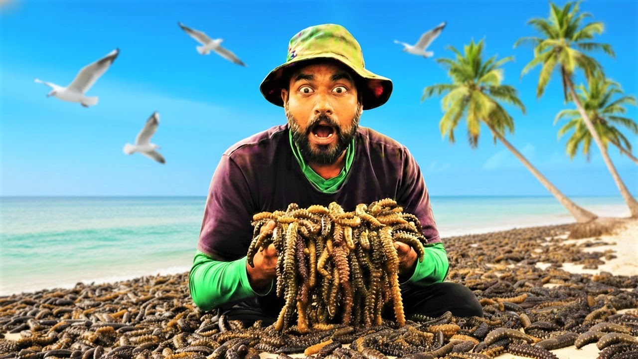 මුහුදු කූඩැල්ලන් සොයා යාපනයට | Kadal Attai | Sea Cucumber | Jaffna චාරිකා 03 | @wishwatiyubaya 👣😲🦠