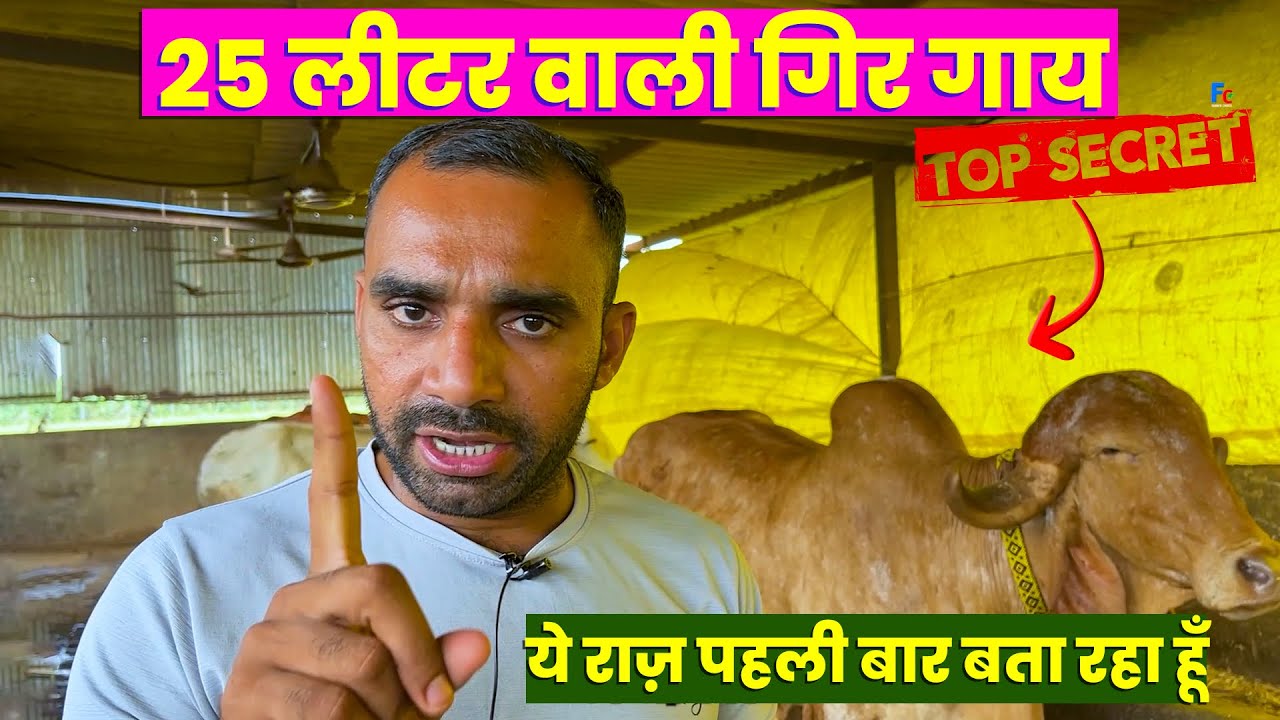 32 लीटर वाली जमुना गिर गाय का मृत्यु💐😱-Sunny bhai Jamuna Gir Gaushala-surat