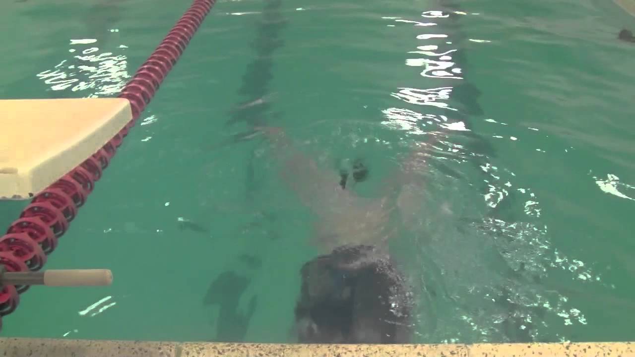 Form Drag
