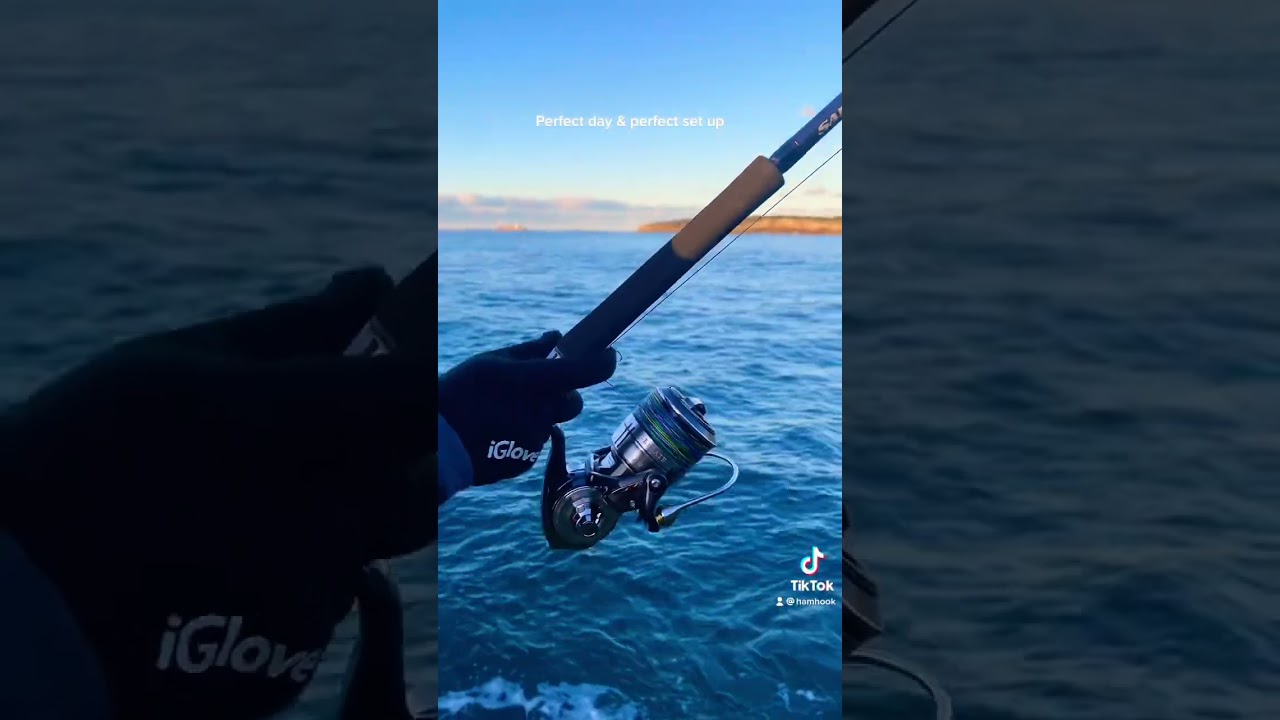 Perfect set up for rock fishing