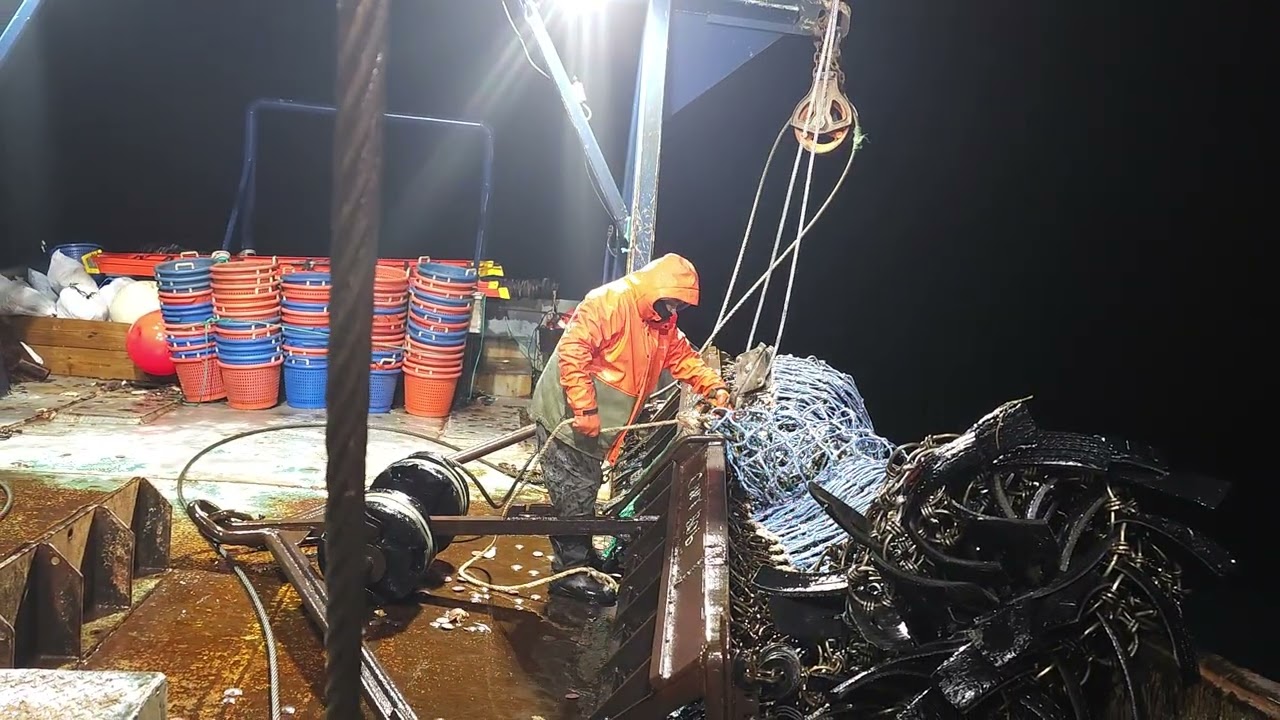 One of the most dangerous  work  in the world  scallops fishing 