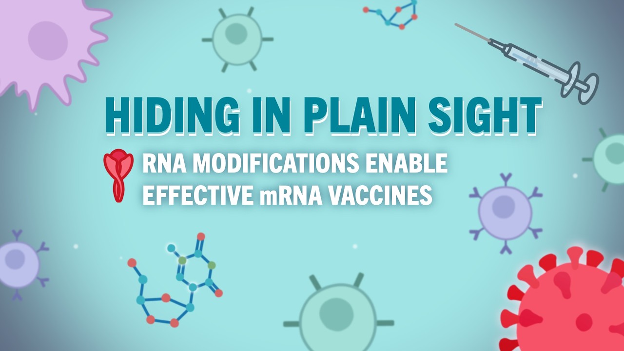 RNA Explained: Hiding in Plain Sight &ndash; RNA Modifications Enable Effective mRNA Vaccines