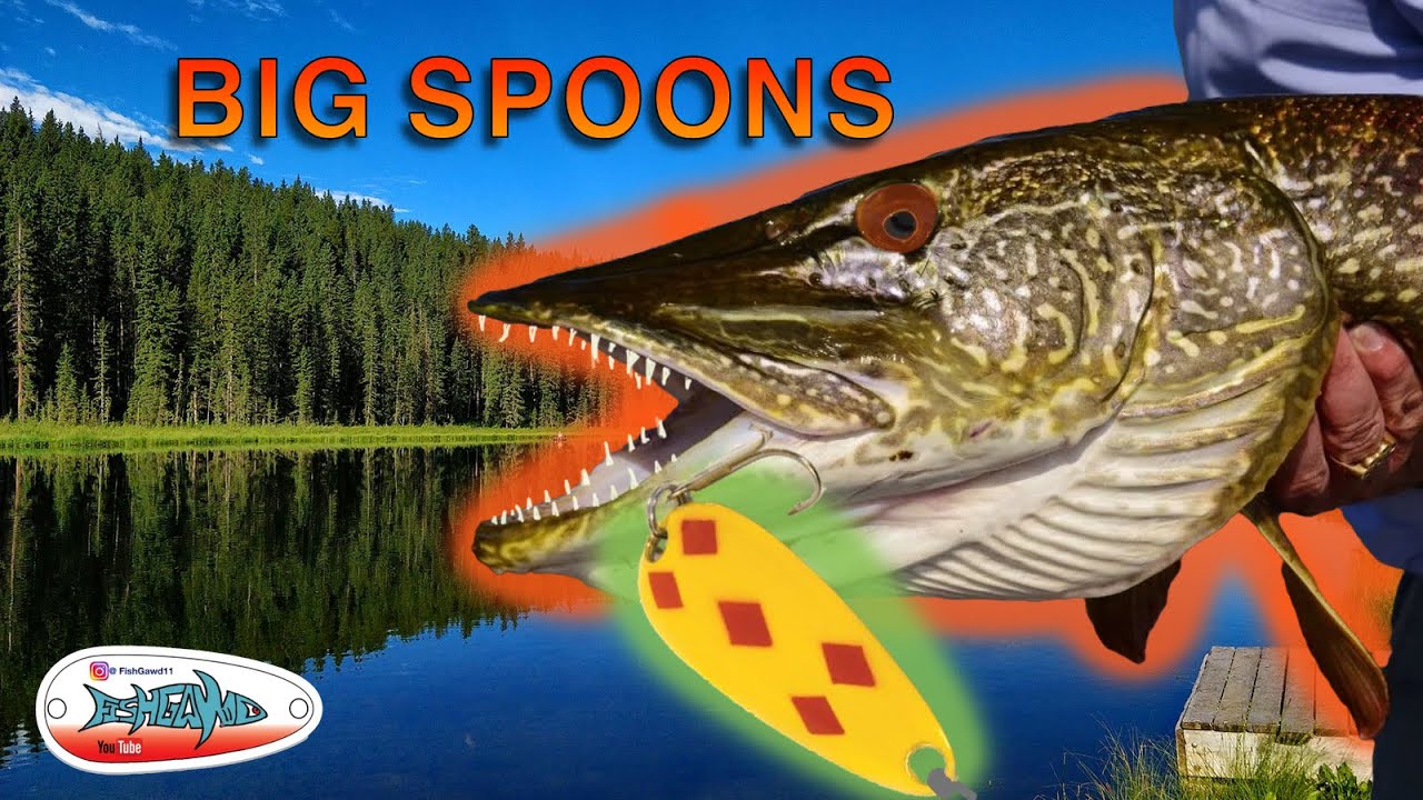 HOW TO CATCH HUGE PIKE WITH A 5